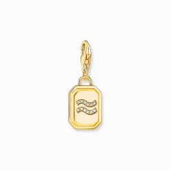 New Breloque Charm signe du zodiaque Verseau dorée, ornée de pierres Femme Charms|Charms