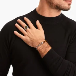 Discount Chevalière sertie d’œil de tigre bleu et or, argent noirci Femme Bagues|Bagues